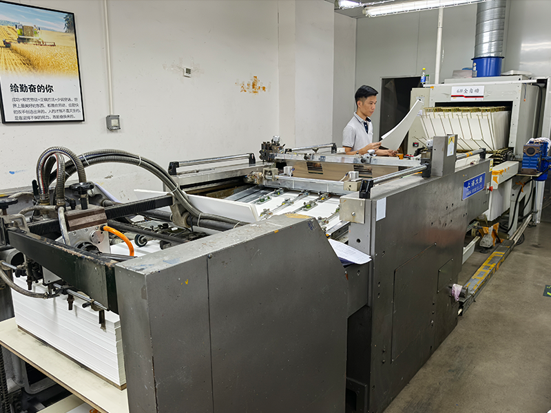 SHULOPAL decal printing line 2016