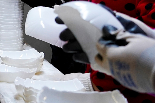 shulopal-OEM-online inspection