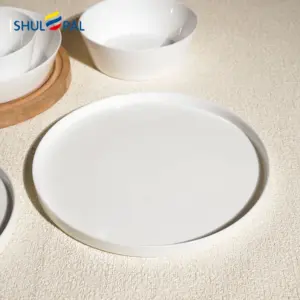 ZBP105T 1-ZBP105T-SHULOPAL-opal-glass-dinnerware-high-edge-dinner-plate.webp