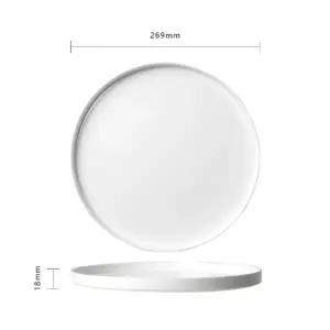 ZBP105T 4-ZBP105T-SHULOPAL-opal-glass-dinnerware-high-edge-dinner-plate.webp