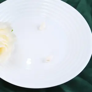 1-BWP105T-SHULOPAL-opal glass dinner plate circles 10.5inch.webp