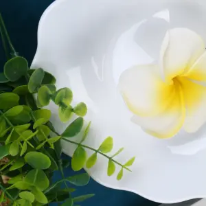 1-HBSP90T-SHULOPAL-Opal Dinnerware-Petals Soup Plate.webp