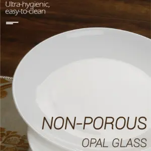 1-NMP75T-SHULOPAL-opal glass dinnerware- Dessert Plate.webp