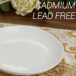 1-NMQP90T-SHULOPAL-opal glass dinnerware- Soup Plate.webp