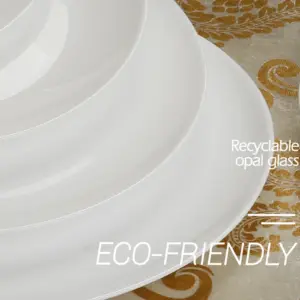 1-NMSP80T-SHULOPAL-opal glass dinnerware- Soup Plate.webp