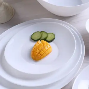1-NOP120T-SHULOPAL-opalware-serving-plate-ellipse-12inch-serving-plate.webp