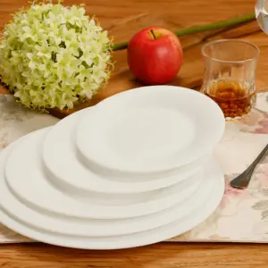 1-NRP100T-SHULOPAL-opal glass dinnerware-Dinner Plate.webp