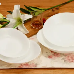 1-NRQW75T-SHULOPAL-opal glass dinnerware-Soup Plate.webp