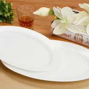 1-NRYP140T-SHULOPAL-opal glass dinnerware- Serving Plate.webp