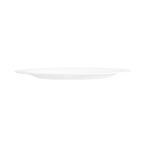 2-NRP90T-SHULOPAL-opal glass dinnerware-Dinner Plate.jpg