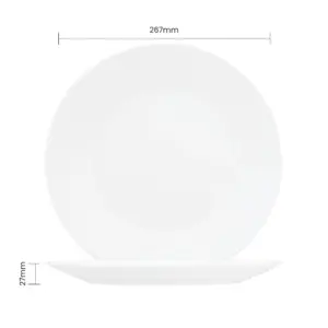 4-BWP105T-SHULOPAL-opal glass dinner plate circles 10.5inch.webp