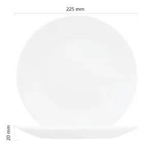 4-BWP90Q-SHULOPAL-tempered glass plate circles 9inch.webp