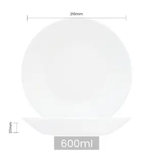 4-BWSP85T-SHULOPAL-opal glass soup plate circles 8.5inch.webp