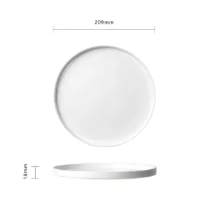 4-ZBP80T-SHULOPAL-opal-glass-dinnerware-high-edge-dessert-plate.webp
