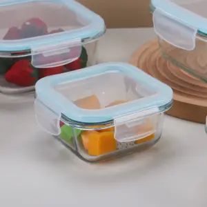 1-3SC030-PLL0-SHULOPAL-Locking Lid Glass Container-Glass Food Container with Locking Lid - Square.webp