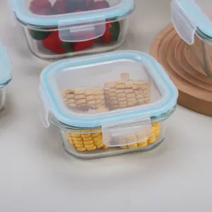 1-3SC050-PLL0-SHULOPAL-Locking Lid Glass Container-Airtight Glass Storage Container - Square.webp