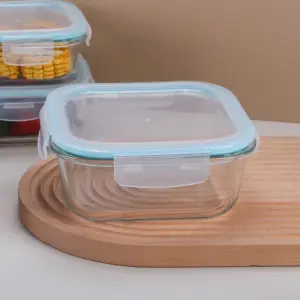 1-3SC125-PLL0-SHULOPAL-Locking Lid Glass Container-Borosilicate Glass Food Container - Square.webp