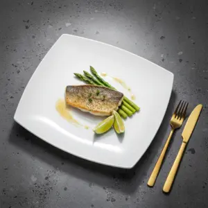 1-FJP130T-SHULOPAL-opalware-dinner-plate-hard-square-13inch-dinner-plate.webp