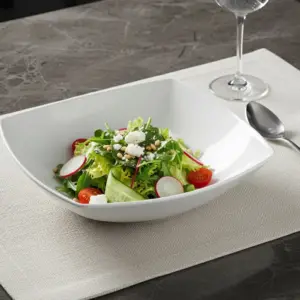 1-FJQW100T-SHULOPAL-square-soup-plate-hard-square-10inch-soup-plate.webp