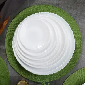 1-NHP90LT-SHULOPAL-white-stylish-kitchenware-9inch-dinner-plate-spinning.webp