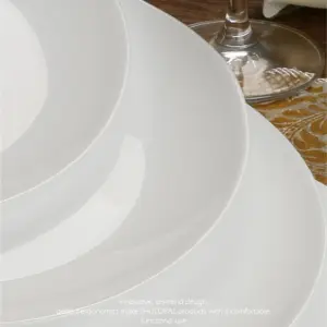 1-NNP100X-SHULOPAL-Opal glass dinnerware-Dinner Plate