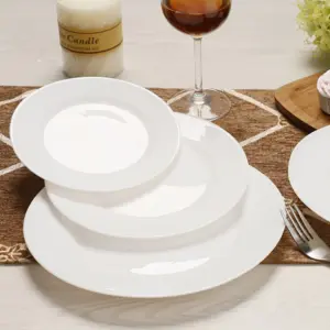 1-NP105T-SHULOPAL-Opal glass dinnerware-Dinner Plate