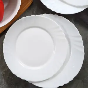 1-NZP100T-SHULOPAL-Opal Dinnerware-Dinner Plate