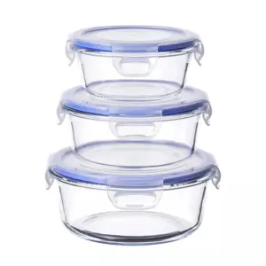 2-3CC065-PLL0-SHULOPAL-Locking Lid Glass Container-Glass Food Storage Container.webp