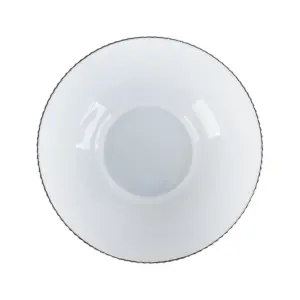 2-CLW80BX-SHULOPAL-break-resistant-dinnerware-8inch-streams.webp
