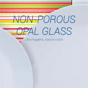 2-NNP100X-SHULOPAL-Opal glass dinnerware-Dinner Plate