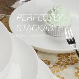 2-NNP85T-SHULOPAL-Opal glass dinnerware-Dessert Plate