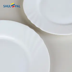 2-NZP90T-SHULOPAL-Opal Dinnerware-Dinner Plate
