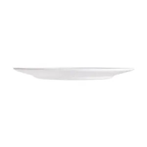 2-RMP100X-SHULOPAL-Opal dinnerware-Dinner plate.webp