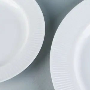 2-TWP100T-SHULOPAL-opal glass dinner plate 10 inch.webp