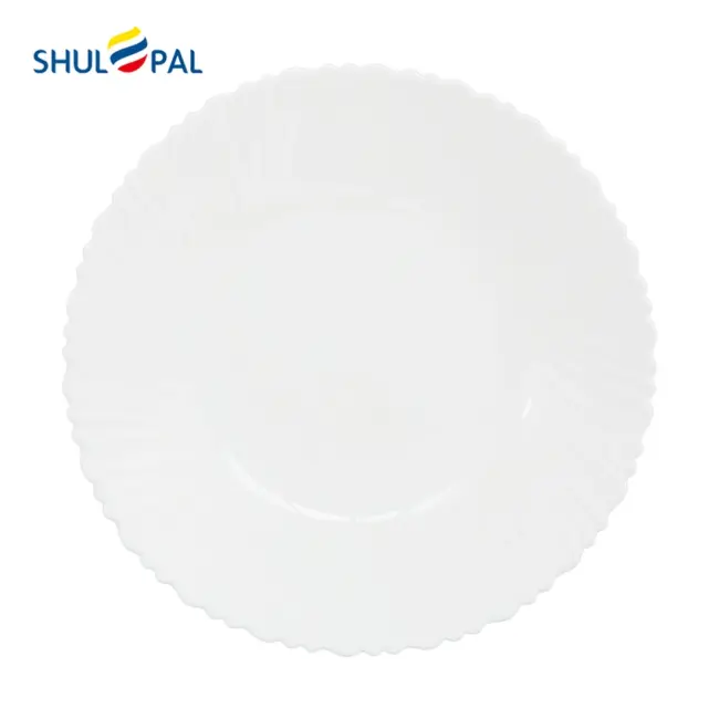 3-NHP100LT-SHULOPAL-white-modern-tableware-10inch-dinner-plate-spinning.webp