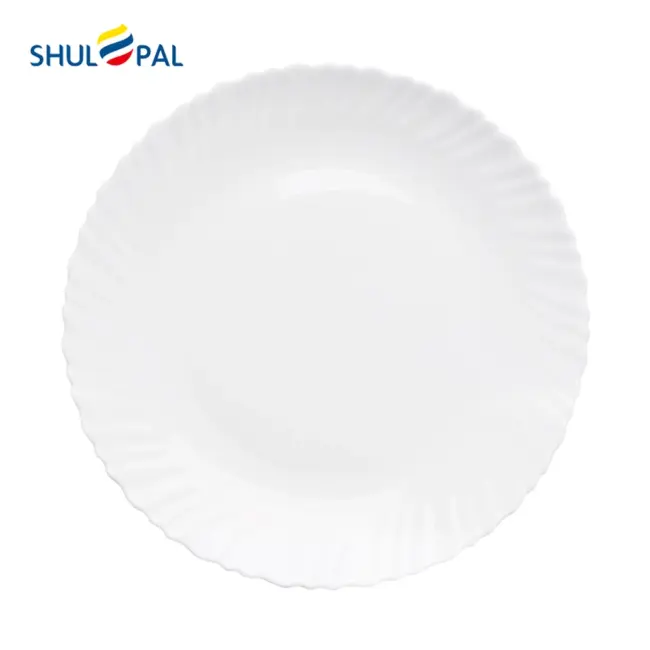 3-NHP95LT-SHULOPAL-white-minimalist-dinnerware-9.5inch-dinner-plate-spinning.webp