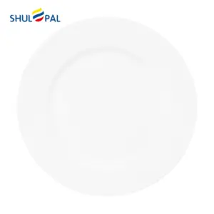 3-NP105T-SHULOPAL-Opal glass dinnerware-Dinner Plate