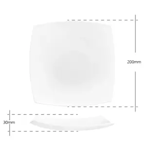4-FJP95T-SHULOPAL-modern-dinner-plate-hard-square-9.5inch-dinner-plate.webp