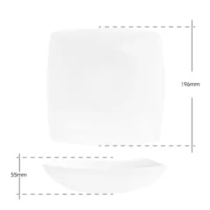 4-FJQW100T-SHULOPAL-square-soup-plate-hard-square-10inch-soup-plate.webp