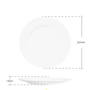 4-NP105T-SHULOPAL-Opal glass dinnerware-Dinner Plate