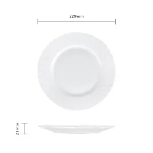 4-NZP90T-SHULOPAL-Opal Dinnerware-Dinner Plate