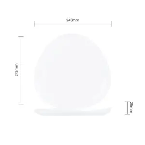 4-RLP100X-SHULOPAL-curved-triangle-plate-10inch-reuleaux.webp