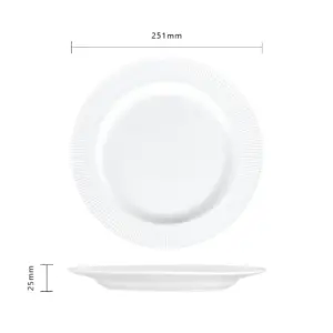 4-TWP100T-SHULOPAL-opal glass dinner plate 10 inch.webp