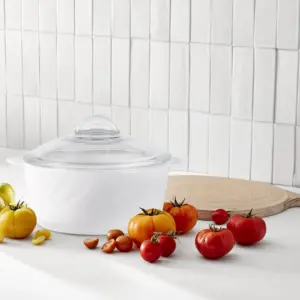 SHULOPAL textured glass ovenware round casserole with clear lid 26x21cm-1-NYGG25A